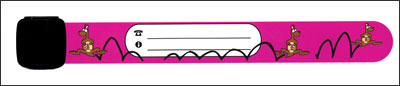 infoband k&aelig;nguru