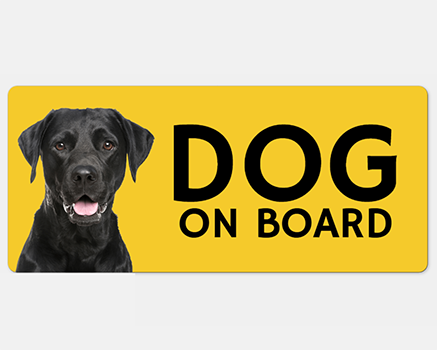 Dog on Board
