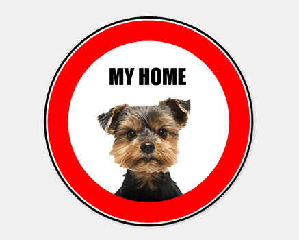 My Home Dog