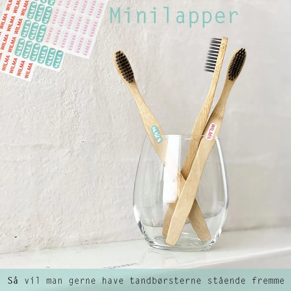 Kend forskel på bambustandbørster